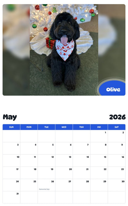 2026 - 2027 Olive - Pawidols Pet Calendar