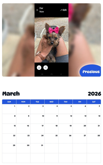 November 2025 - October 2026 Precious - Pawidols Pet Calendar