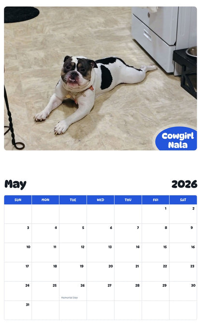 2026 - 2027 Cowgirl Nala - Pawidols Pet Calendar