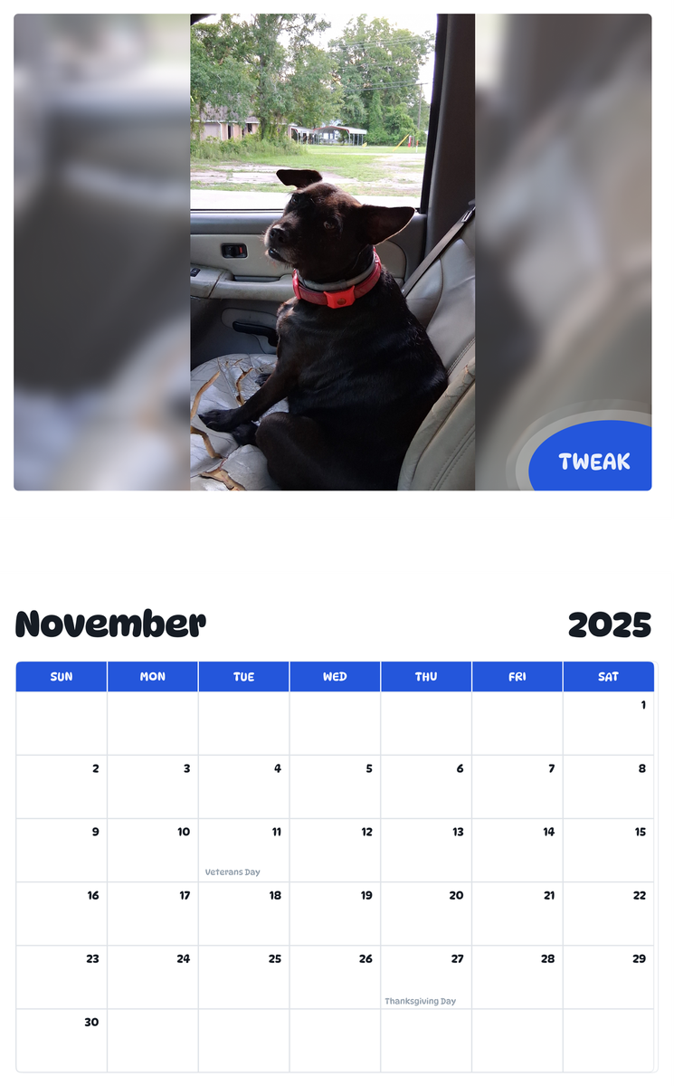 July 2025 - June 2026 Tweak - Pawidols Pet Calendar