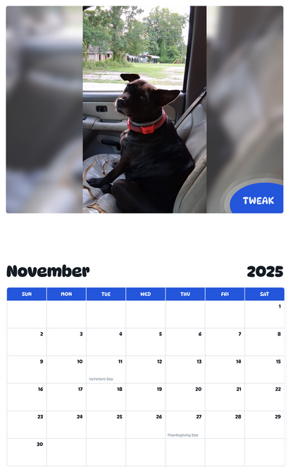July 2025 - June 2026 Tweak - Pawidols Pet Calendar