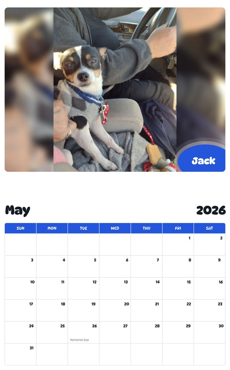 2026 - 2027 Jack - Pawidols Pet Calendar