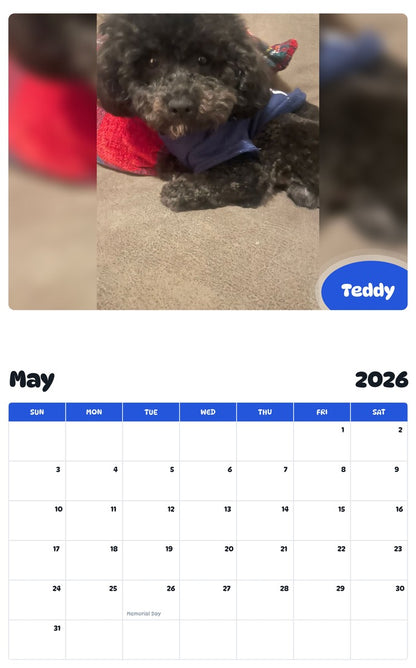 2026 - 2027 Teddy - Pawidols Pet Calendar