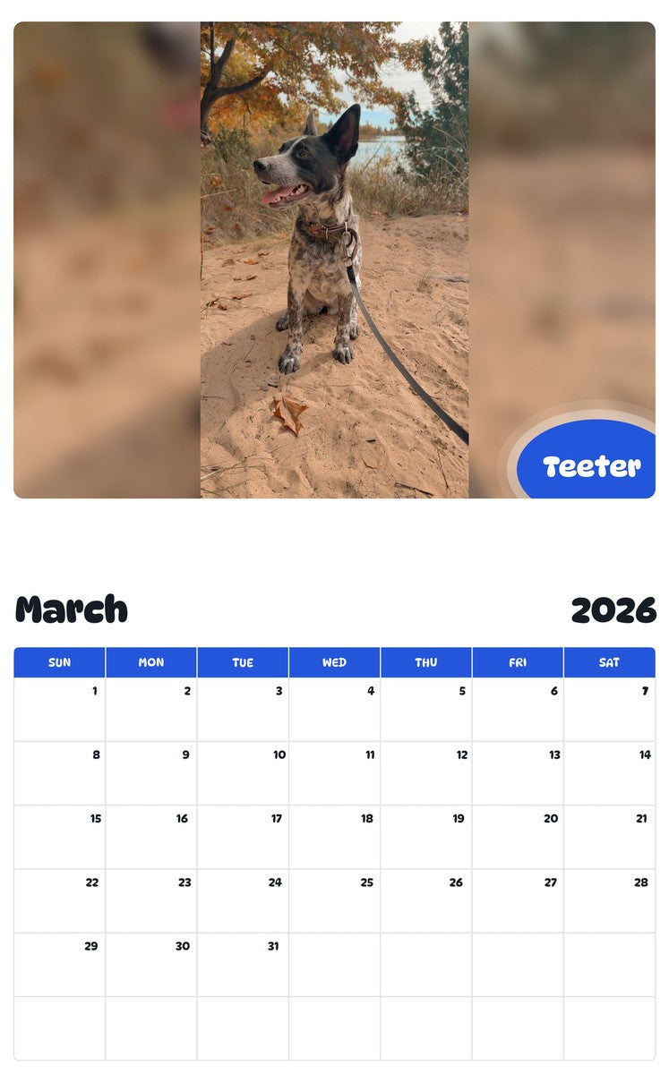 November 2025 - October 2026 Teeter - Pawidols Pet Calendar