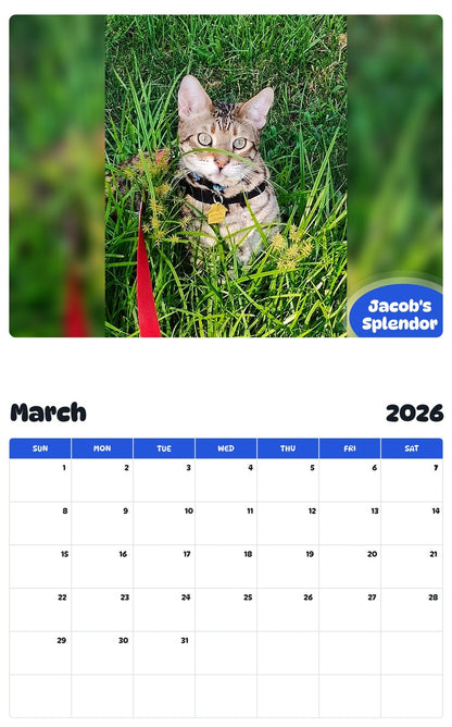 November 2025 - October 2026 Jacob's Splendor - Pawidols Pet Calendar