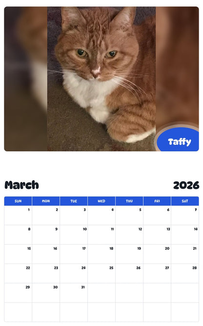 November 2025 - October 2026 Taffy - Pawidols Pet Calendar