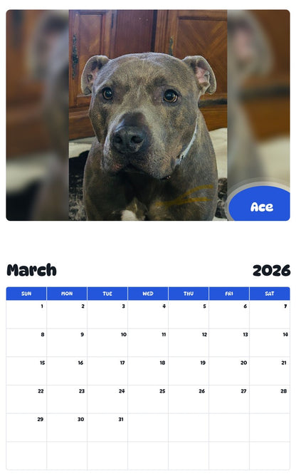 November 2025 - October 2026 Ace - Pawidols Pet Calendar