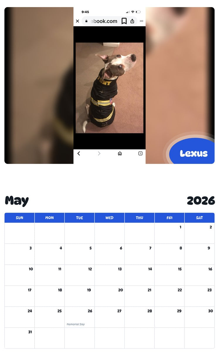 2026 - 2027 Lexus - Pawidols Pet Calendar