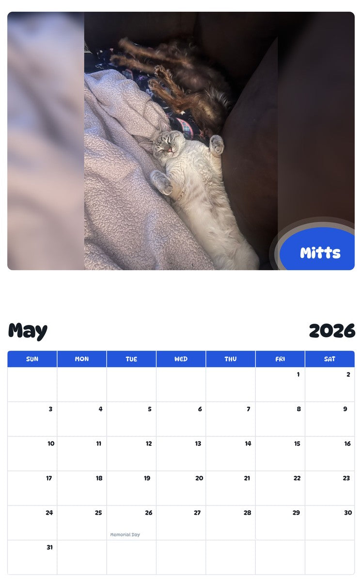 2026 - 2027 Mitts - Pawidols Pet Calendar