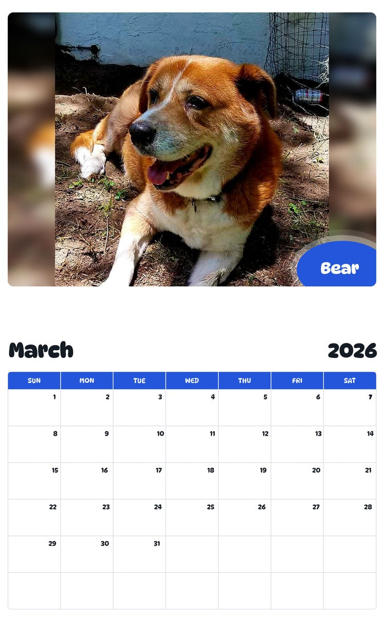 November 2025 - October 2026 Bear - Pawidols Pet Calendar