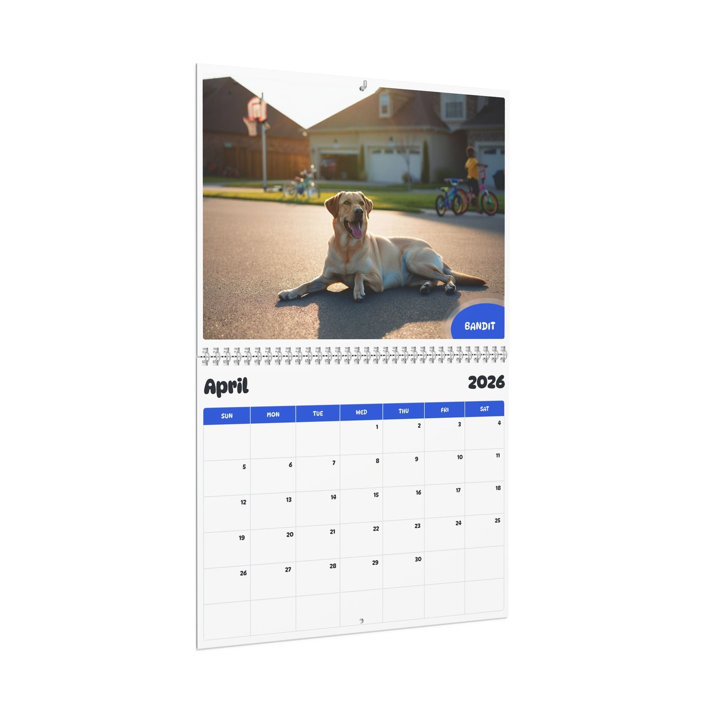8297-qaubal6rg52v0fdqhqqaubal6qbkdbqq