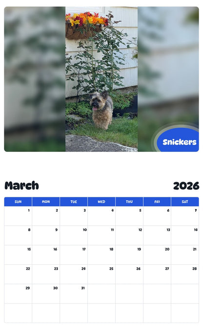 November 2025 - October 2026 Snickers - Pawidols Pet Calendar