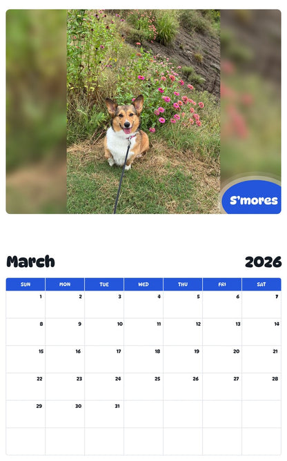 November 2025 - October 2026 S’mores - Pawidols Pet Calendar