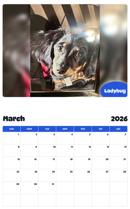 November 2025 - October 2026 Ladybug - Pawidols Pet Calendar
