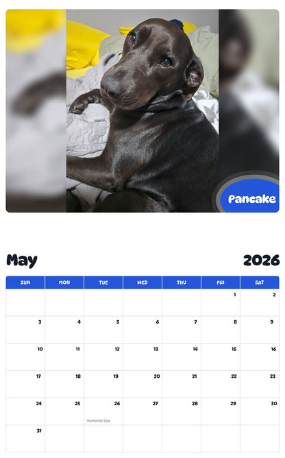 2026 - 2027 Pancake - Pawidols Pet Calendar