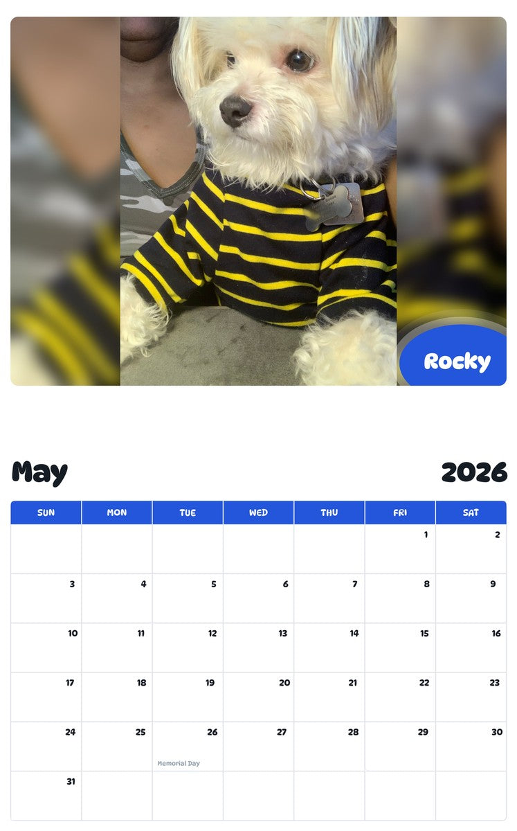 2026 - 2027 Rocky - Pawidols Pet Calendar