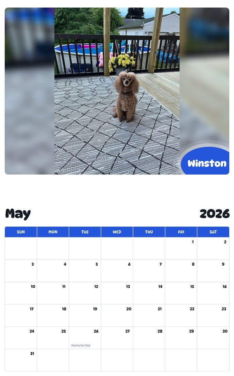 2026 - 2027 Winston - Pawidols Pet Calendar