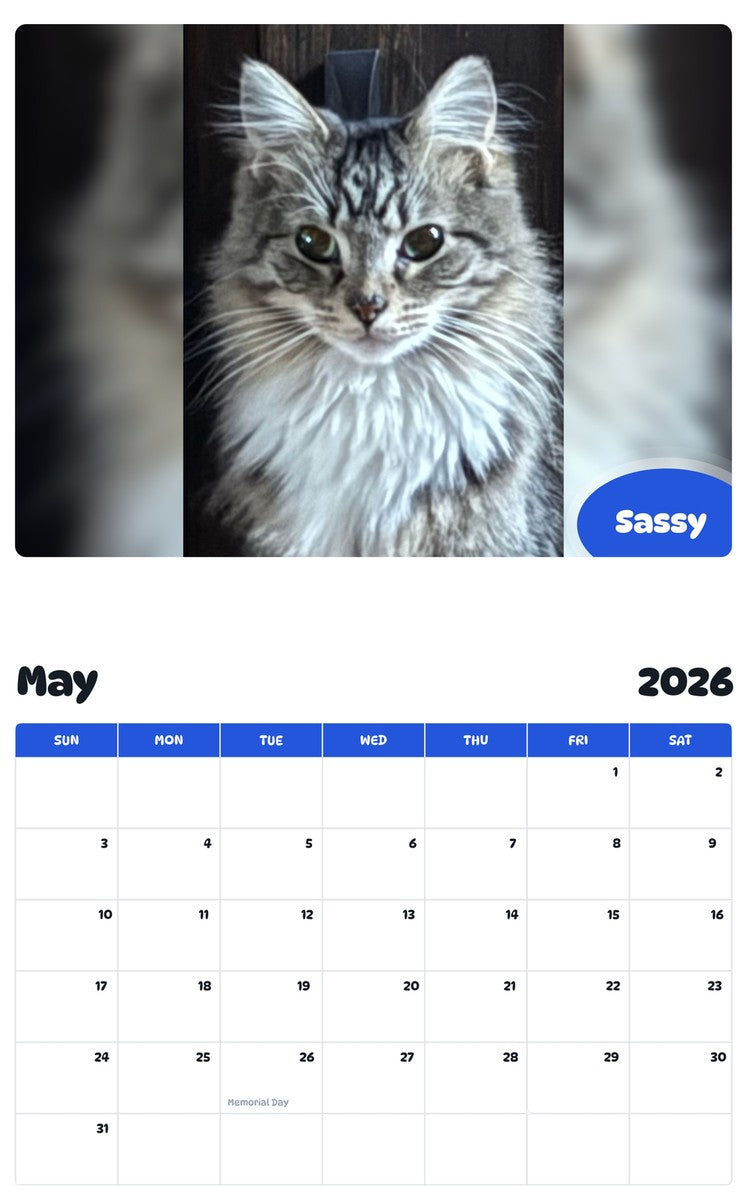 2026 - 2027 Sassy - Pawidols Pet Calendar