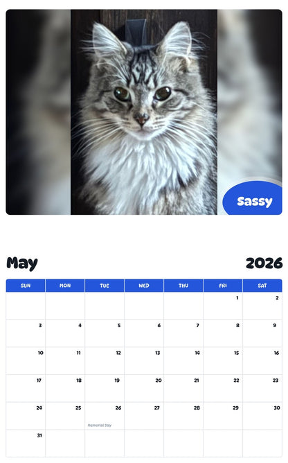 2026 - 2027 Sassy - Pawidols Pet Calendar