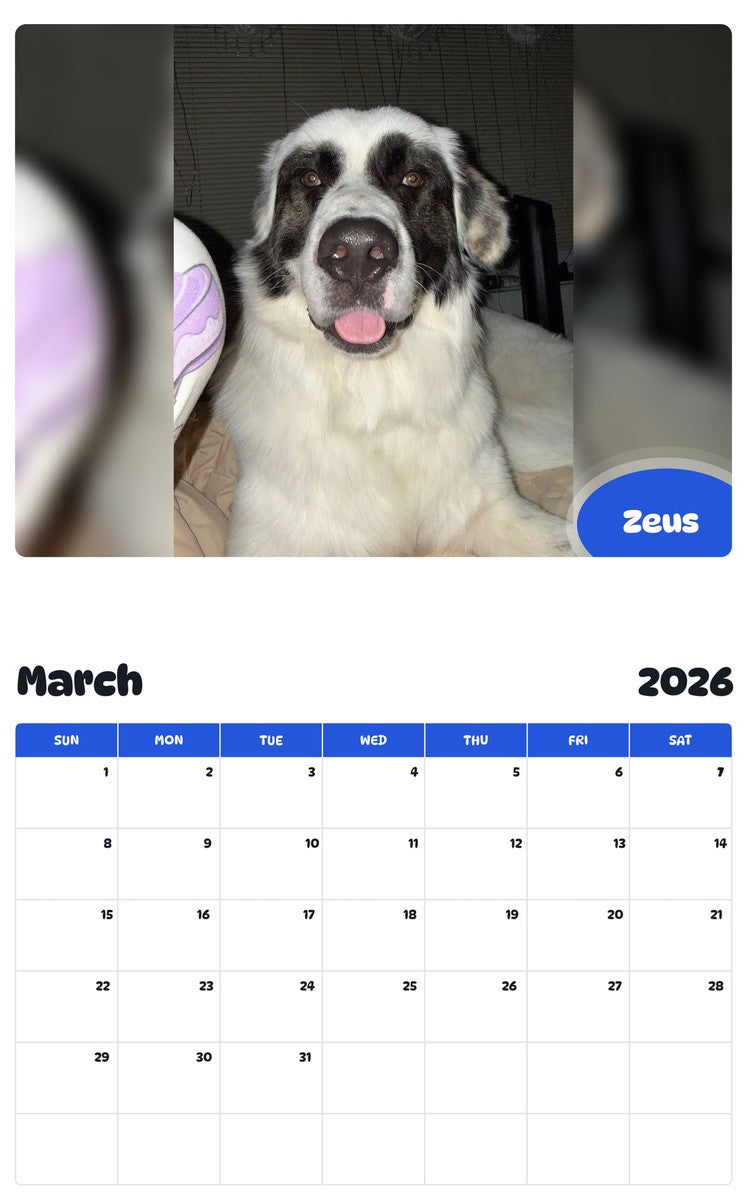 November 2025 - October 2026 Zeus - Pawidols Pet Calendar