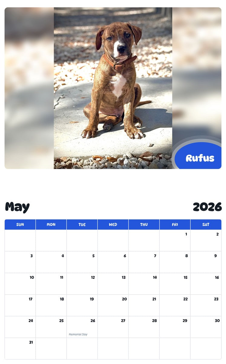 2026 - 2027 Rufus - Pawidols Pet Calendar