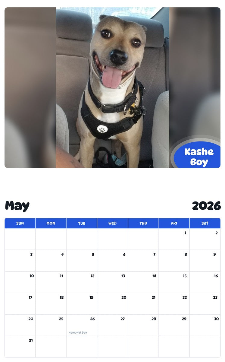 2026 - 2027 Kashe Boy - Pawidols Pet Calendar