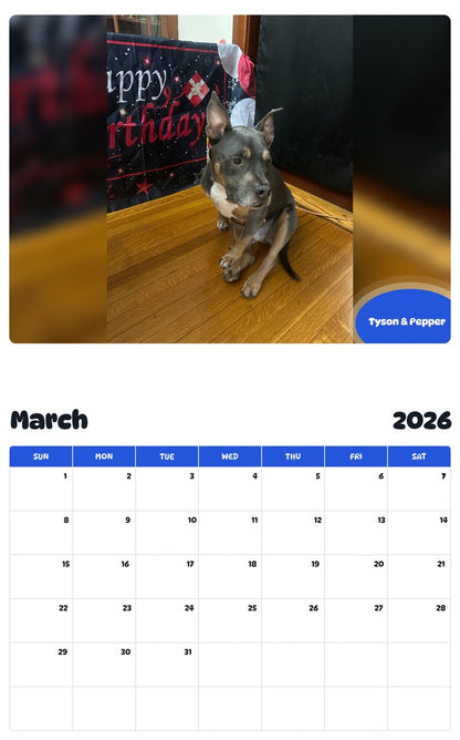November 2025 - October 2026 Tyson & Pepper - Pawidols Pet Calendar