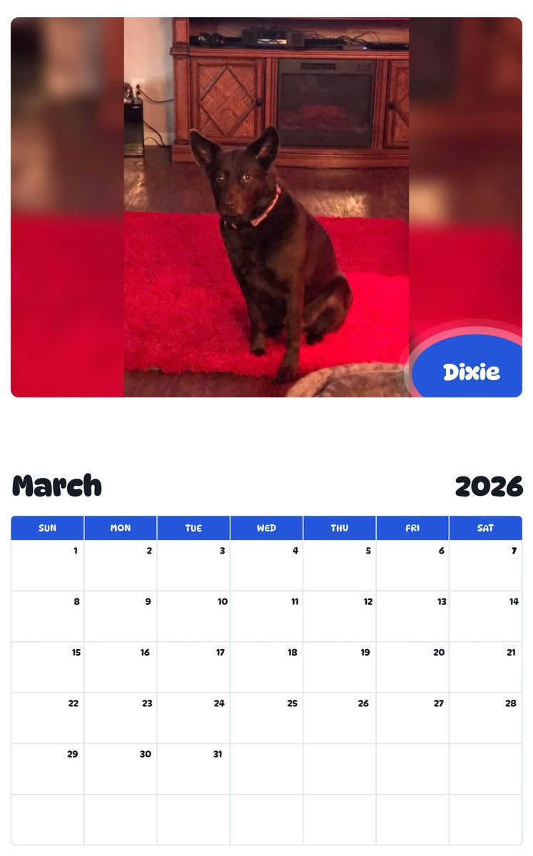 November 2025 - October 2026 Dixie - Pawidols Pet Calendar