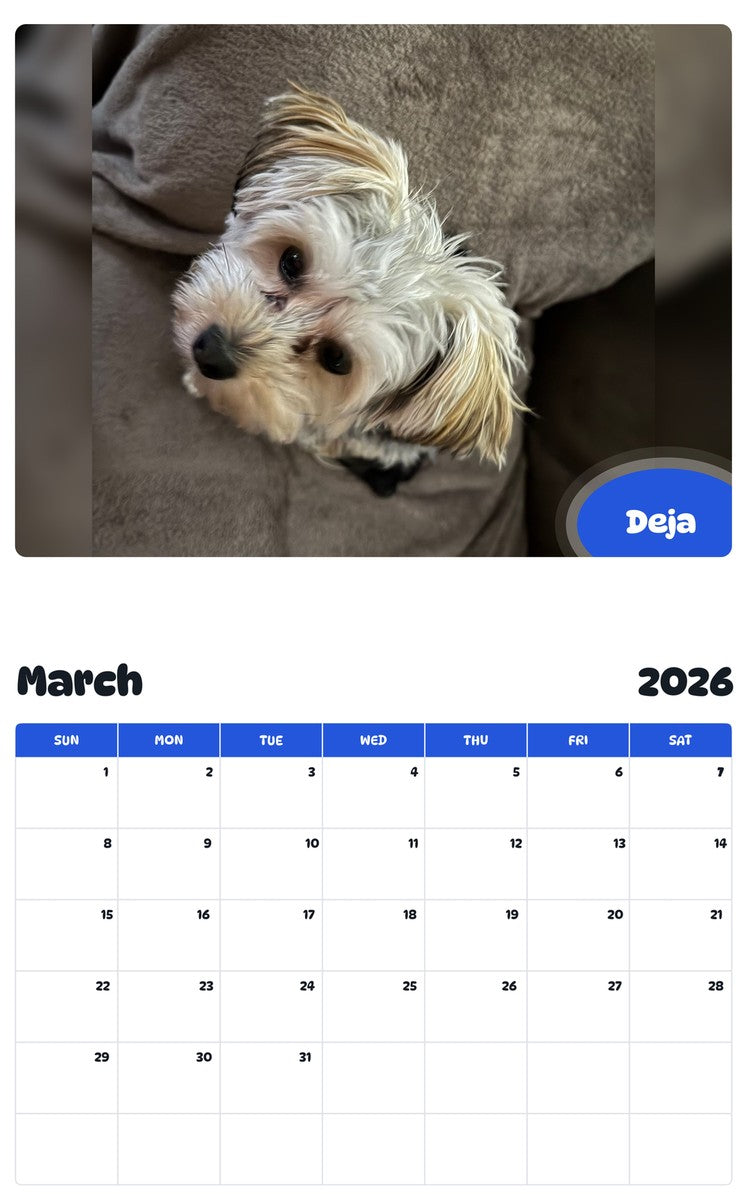 November 2025 - October 2026 Deja - Pawidols Pet Calendar
