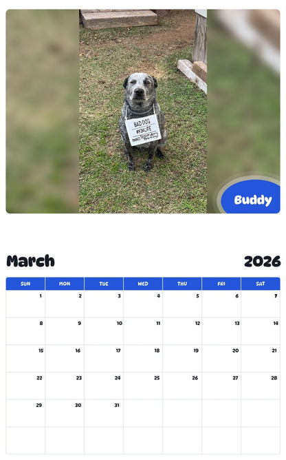 November 2025 - October 2026 Buddy - Pawidols Pet Calendar