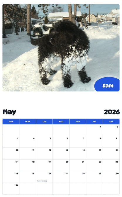 2026 - 2027 Sam - Pawidols Pet Calendar