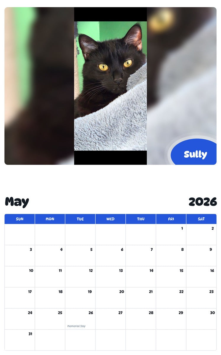 2026 - 2027 Sully - Pawidols Pet Calendar