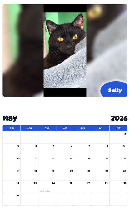 2026 - 2027 Sully - Pawidols Pet Calendar