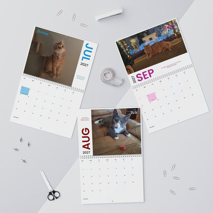 NEW Paw Calendar CAT October 2026 - September 2027