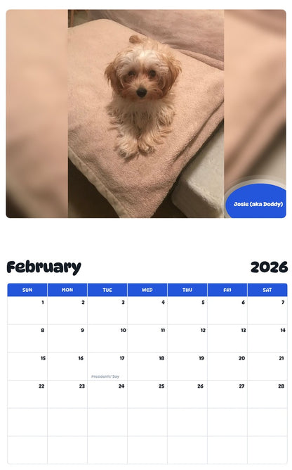November 2025 - October 2026 Josie (aka Doddy) - Pawidols Pet Calendar