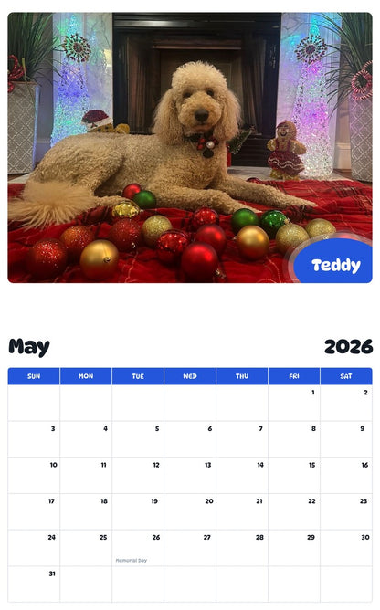 2026 - 2027 Teddy - Pawidols Pet Calendar