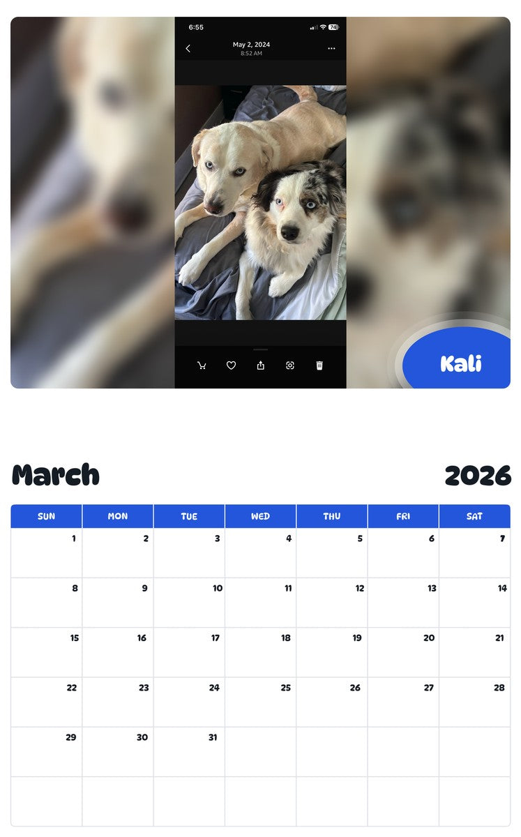 November 2025 - October 2026 Kali - Pawidols Pet Calendar