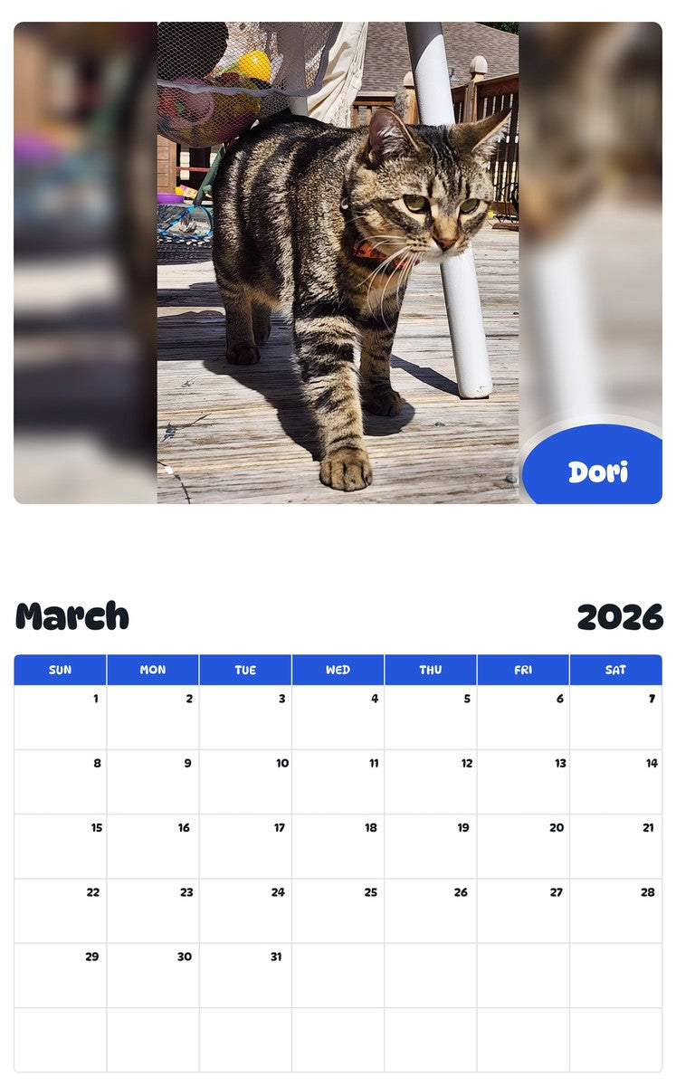 November 2025 - October 2026 Dori - Pawidols Pet Calendar