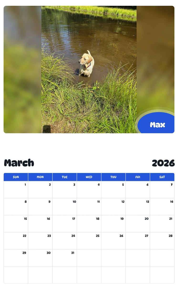 November 2025 - October 2026 Max - Pawidols Pet Calendar