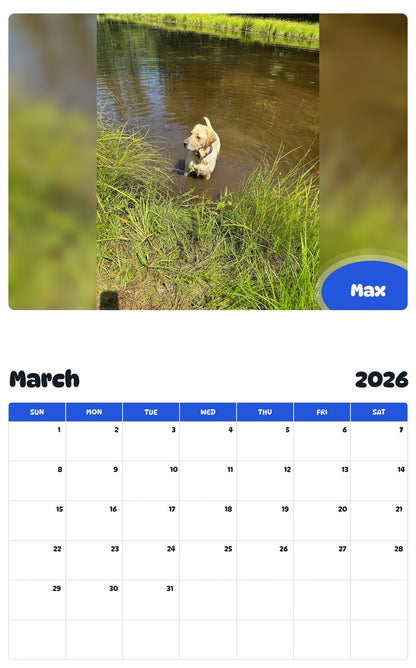 November 2025 - October 2026 Max - Pawidols Pet Calendar