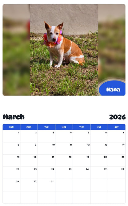 November 2025 - October 2026 Hana - Pawidols Pet Calendar