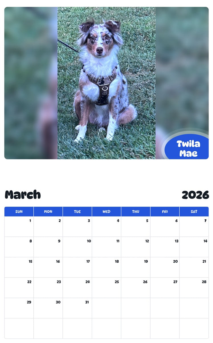 November 2025 - October 2026 Twila Mae - Pawidols Pet Calendar