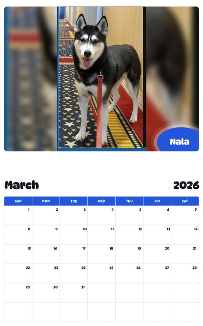 November 2025 - October 2026 Nala - Pawidols Pet Calendar