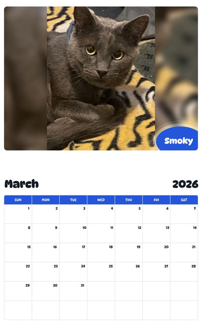 November 2025 - October 2026 Smoky - Pawidols Pet Calendar