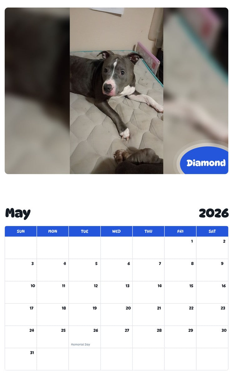 2026 - 2027 Diamond - Pawidols Pet Calendar