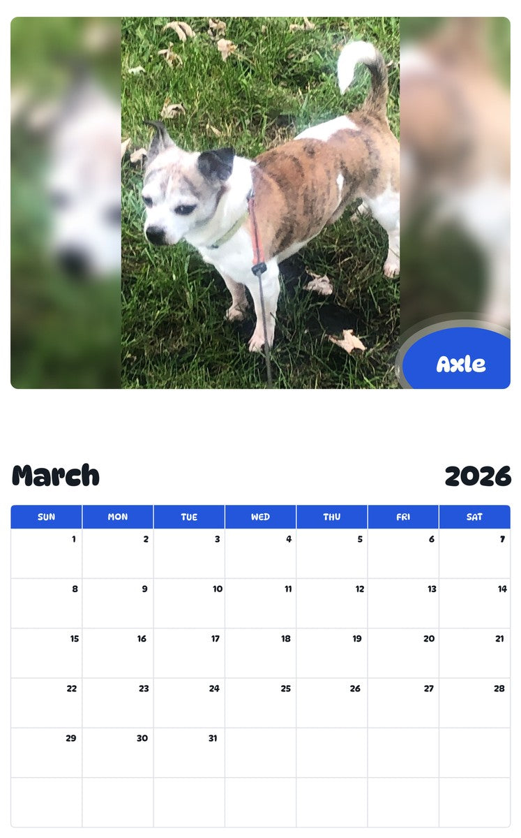 November 2025 - October 2026 Axle - Pawidols Pet Calendar