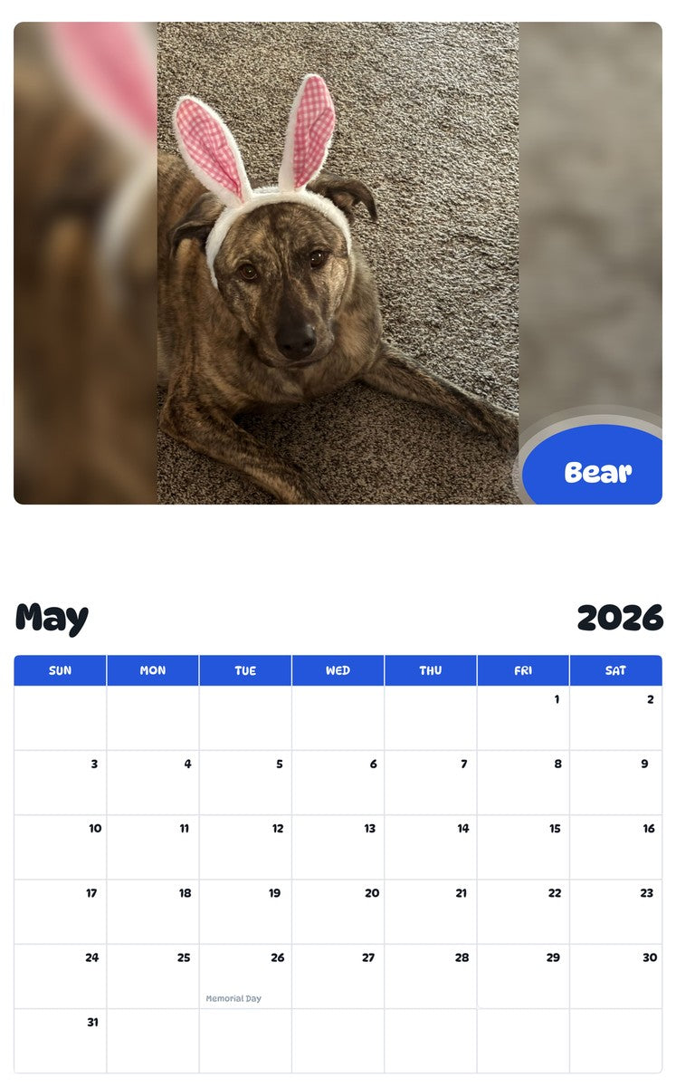 2026 - 2027 Bear - Pawidols Pet Calendar