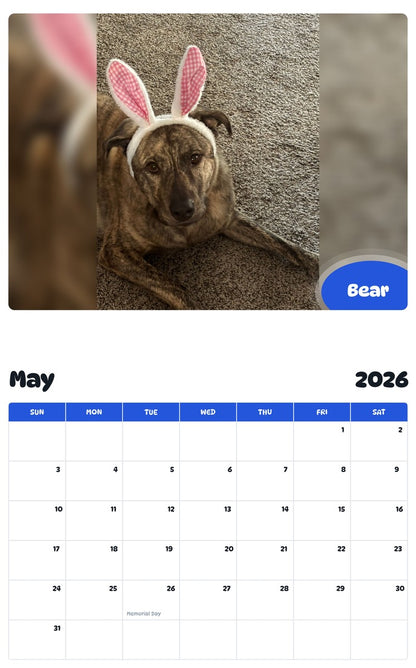 2026 - 2027 Bear - Pawidols Pet Calendar