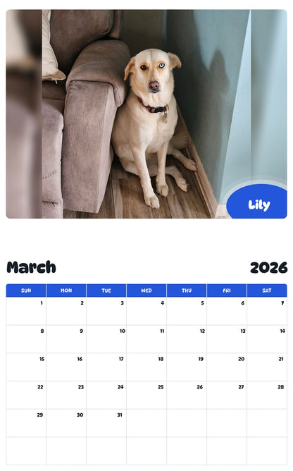 November 2025 - October 2026 Lily - Pawidols Pet Calendar
