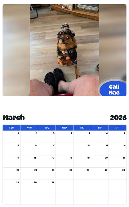 November 2025 - October 2026 Cali Mae - Pawidols Pet Calendar